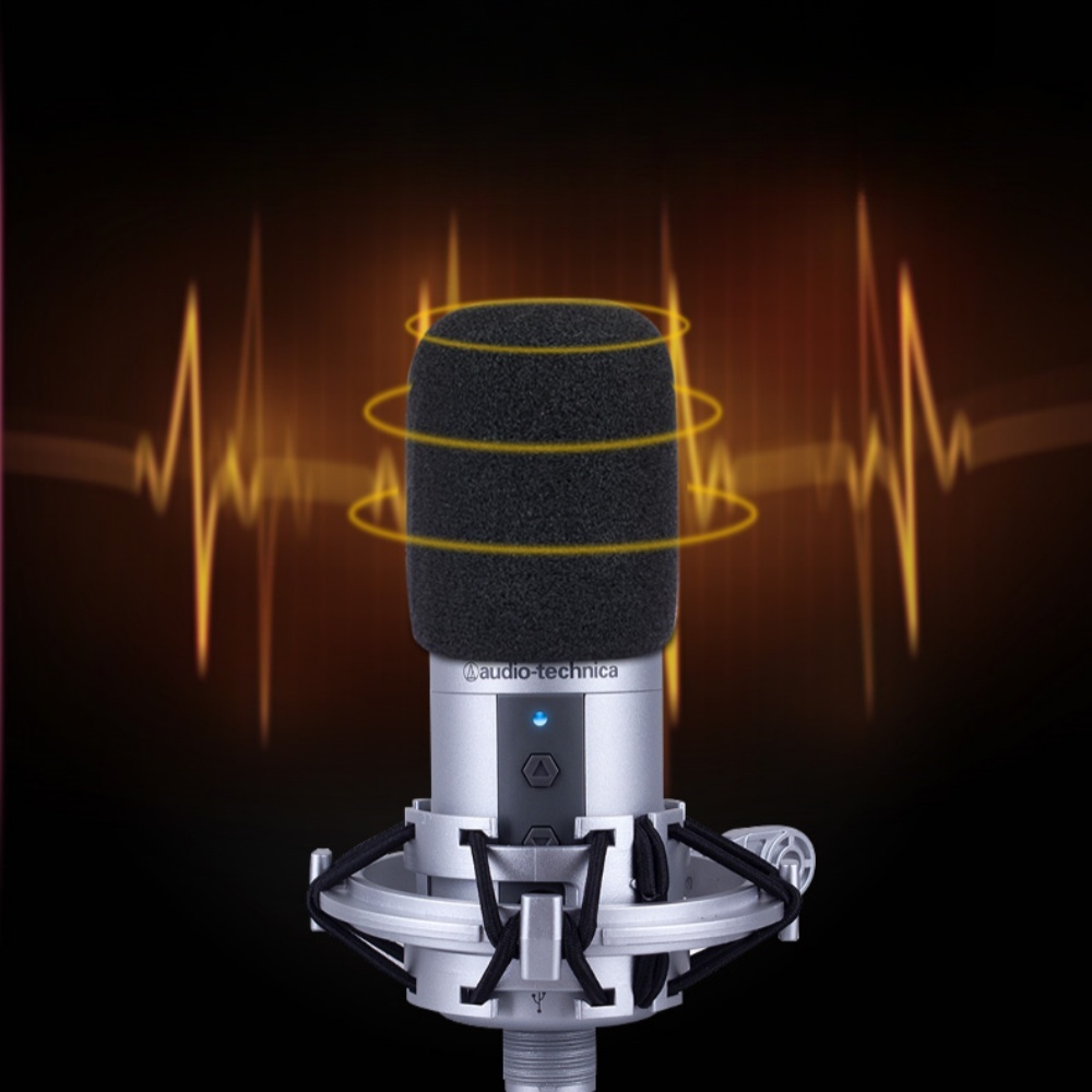 2PCS AT2020 Microphone Windscr - đánh giá và giá Microphone Capsule