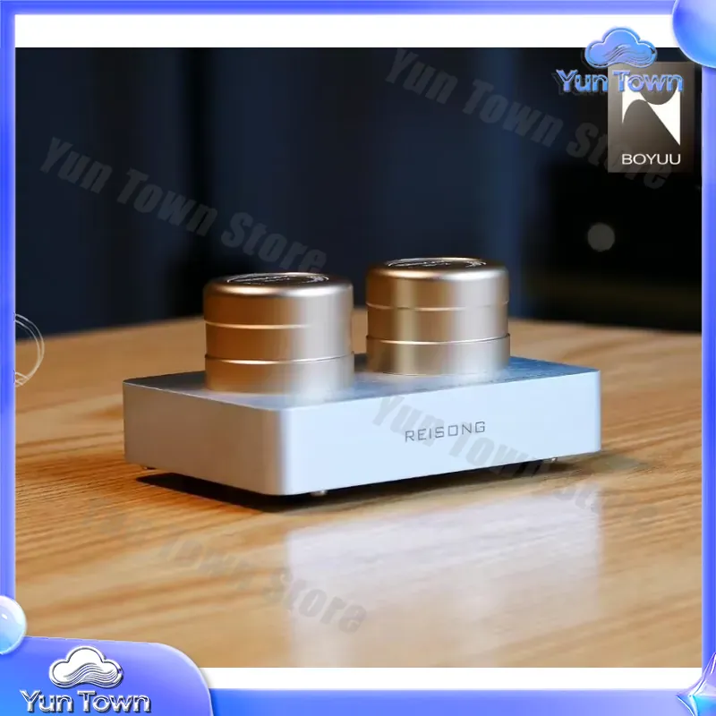 for Boyuu BYPT2T for Reisong P - đánh giá và giá Passive Preamp