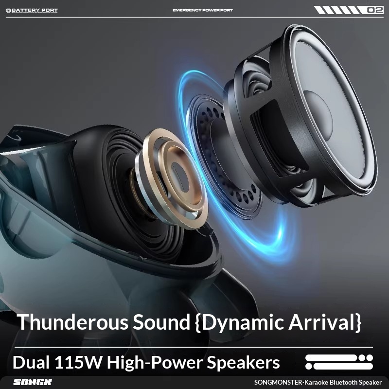 SONGX Audio Dual Microphone Du - đánh giá và giá Full Range Speaker